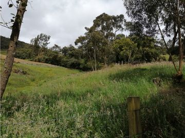 SE VENDE HERMOSO LOTE ESQUINERO EN LA VEREDA EL ALTO DEL AGUILA