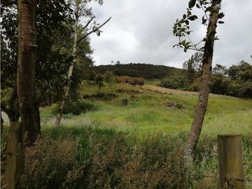 SE VENDE HERMOSO LOTE ESQUINERO EN LA VEREDA EL ALTO DEL AGUILA