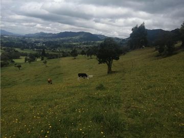 HERMOSA FINCA VEREDA SECTOR SAN ISIDRO ZIPAQUIR