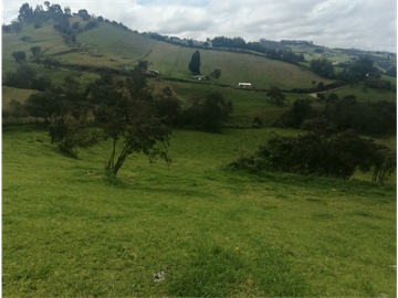 HERMOSA FINCA VEREDA SECTOR SAN ISIDRO ZIPAQUIR