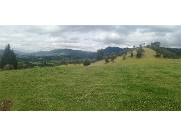 HERMOSA FINCA VEREDA SECTOR SAN ISIDRO ZIPAQUIR
