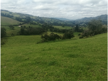 HERMOSA FINCA VEREDA SECTOR SAN ISIDRO ZIPAQUIR
