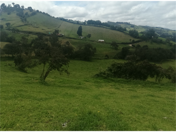 HERMOSA FINCA VEREDA SECTOR SAN ISIDRO ZIPAQUIR