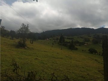 HERMOSA FINCA VEREDA SECTOR SAN ISIDRO ZIPAQUIR