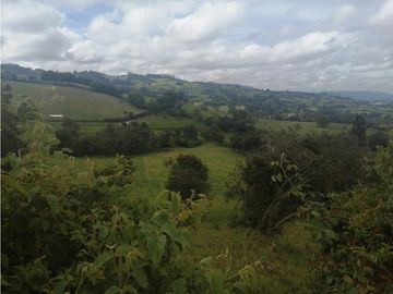 HERMOSA FINCA VEREDA SECTOR SAN ISIDRO ZIPAQUIR