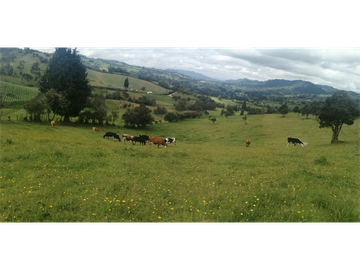 HERMOSA FINCA VEREDA SECTOR SAN ISIDRO ZIPAQUIR