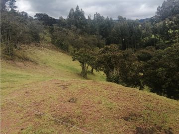 HERMOSA FINCA VEREDA SECTOR SAN ISIDRO ZIPAQUIR