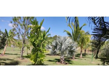 Venta de Casas con piscina en Aguadulce