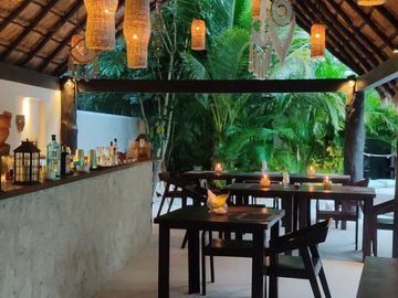 🌴 Invest in your dream of owning a Jungle Boutique Hotel just 500 meters from Xcacel-Xcacelito Beach! 🌊 TU-042