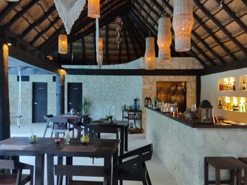 🌴 Invest in your dream of owning a Jungle Boutique Hotel just 500 meters from Xcacel-Xcacelito Beach! 🌊 TU-042