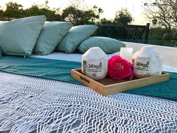🌴 Invest in your dream of owning a Jungle Boutique Hotel just 500 meters from Xcacel-Xcacelito Beach! 🌊 TU-042