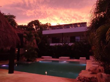 🌴 Invest in your dream of owning a Jungle Boutique Hotel just 500 meters from Xcacel-Xcacelito Beach! 🌊 TU-042