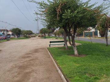 LAS TORRES, SANTA LUISA