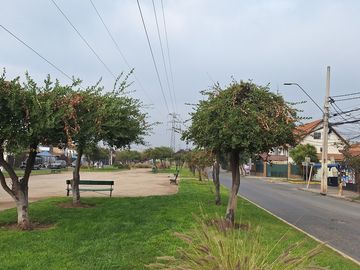 LAS TORRES, SANTA LUISA