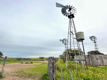 Productivo campo de 2400 hectáreas cerca de Medanos.