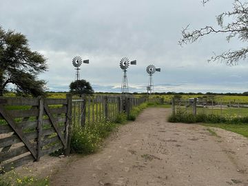 Productivo campo de 2400 hectáreas cerca de Medanos.