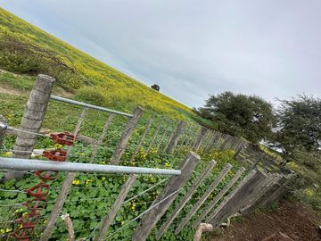 Productivo campo de 2400 hectáreas cerca de Medanos.