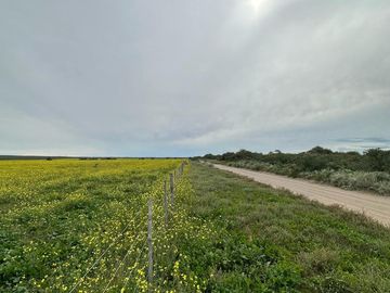 Productivo campo de 2400 hectáreas cerca de Medanos.