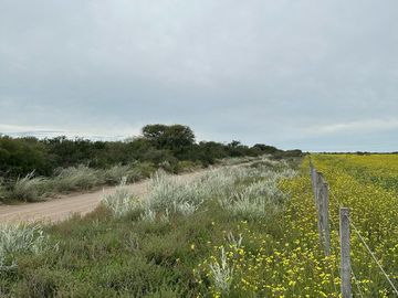 Productivo campo de 2400 hectáreas cerca de Medanos.