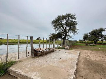 Productivo campo de 2400 hectáreas cerca de Medanos.