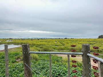 Productivo campo de 2400 hectáreas cerca de Medanos.