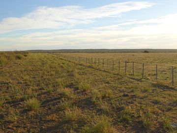 Productivo campo de 2400 hectáreas cerca de Medanos.