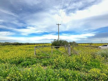 Productivo campo de 2400 hectáreas cerca de Medanos.
