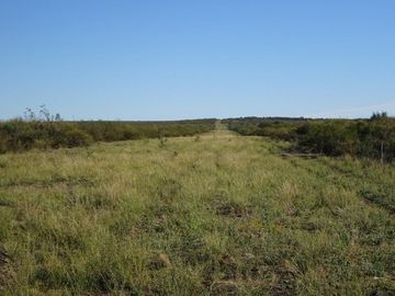 Productivo campo de 2400 hectáreas cerca de Medanos.