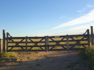 Productivo campo de 2400 hectáreas cerca de Medanos.