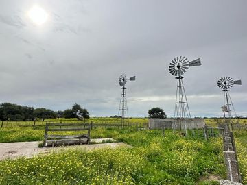 Productivo campo de 2400 hectáreas cerca de Medanos.