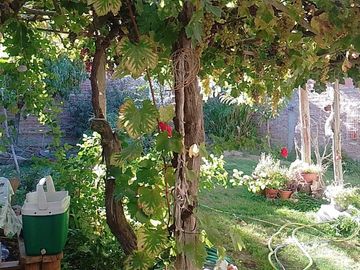 VENDE CASA EN SENILLOSA