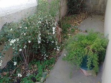 VENDE CASA EN SENILLOSA