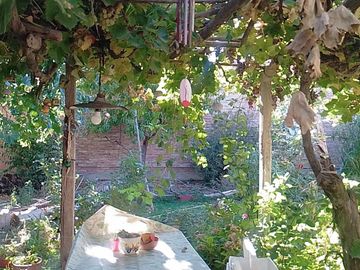 VENDE CASA EN SENILLOSA