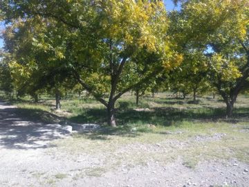 Finca-Rancho en Venta en Agua de los Padres, Parras, Coahuila de Zaragoza