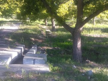 Finca-Rancho en Venta en Agua de los Padres, Parras, Coahuila de Zaragoza