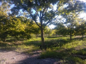 Finca-Rancho en Venta en Agua de los Padres, Parras, Coahuila de Zaragoza