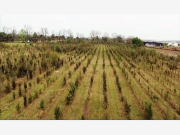 Finca-Rancho en Remate en Cadereyta Jimenez Centro, Cadereyta Jiménez, Nuevo León