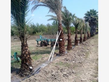 Finca-Rancho en Remate en Cadereyta Jimenez Centro, Cadereyta Jiménez, Nuevo León