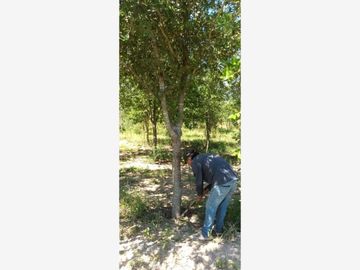 Finca-Rancho en Remate en Cadereyta Jimenez Centro, Cadereyta Jiménez, Nuevo León