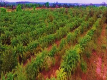 Finca-Rancho en Remate en Cadereyta Jimenez Centro, Cadereyta Jiménez, Nuevo León