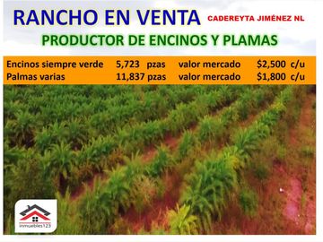 Finca-Rancho en Remate en Cadereyta Jimenez Centro, Cadereyta Jiménez, Nuevo León