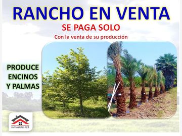 Finca-Rancho en Remate en Cadereyta Jimenez Centro, Cadereyta Jiménez, Nuevo León