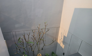 Rumah Mewah Murah Alam Sutera 2 Rasuna Lamda BSD Gading Serpong
