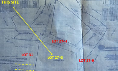 For Sale Farm Lot in Sto. Rosario, San Luis Pampanga