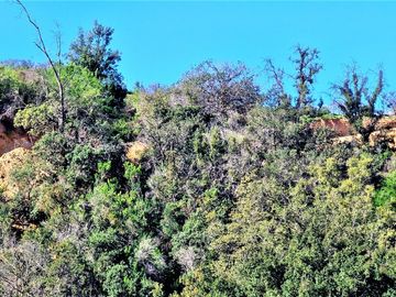 Venta de dos parcelas de 6.000 m2., en Condominio exclusivo en Lo Orozco, Quilpué, 70 M$ cada una.