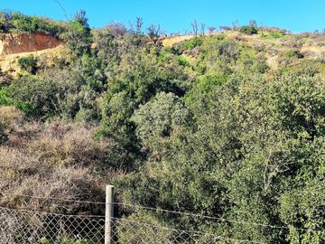 Venta de dos parcelas de 6.000 m2., en Condominio exclusivo en Lo Orozco, Quilpué, 70 M$ cada una.