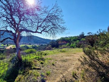 Venta de dos parcelas de 6.000 m2., en Condominio exclusivo en Lo Orozco, Quilpué, 70 M$ cada una.