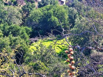 Venta de dos parcelas de 6.000 m2., en Condominio exclusivo en Lo Orozco, Quilpué, 70 M$ cada una.