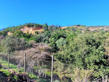 Venta de dos parcelas de 6.000 m2., en Condominio exclusivo en Lo Orozco, Quilpué, 70 M$ cada una.
