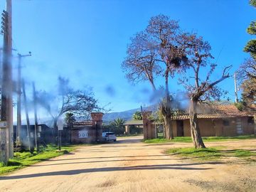 Venta de dos parcelas de 6.000 m2., en Condominio exclusivo en Lo Orozco, Quilpué, 70 M$ cada una.